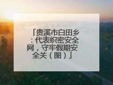 贵溪市白田乡：代表织密安全网，守牢假期安全关（图）