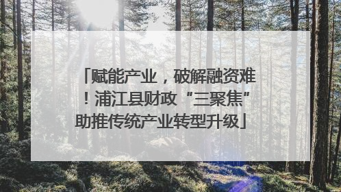 赋能产业，破解融资难！浦江县财政“三聚焦”助推传统产业转型升级