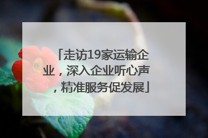 走访19家运输企业，深入企业听心声，精准服务促发展