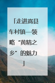 走进嵩县车村镇—领略“黄精之乡”的魅力