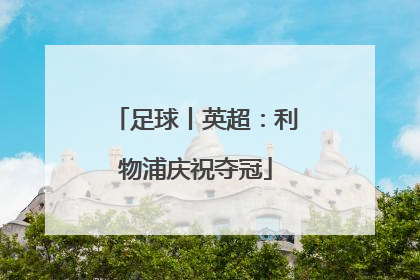 足球丨英超：利物浦庆祝夺冠