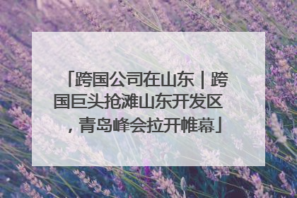 跨国公司在山东｜跨国巨头抢滩山东开发区，青岛峰会拉开帷幕