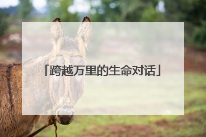 跨越万里的生命对话