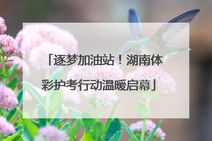 逐梦加油站！湖南体彩护考行动温暖启幕