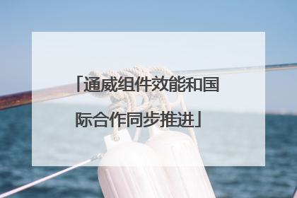 通威组件效能和国际合作同步推进