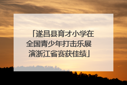 遂昌县育才小学在全国青少年打击乐展演浙江省赛获佳绩
