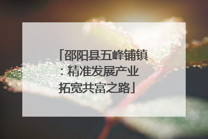 邵阳县五峰铺镇：精准发展产业 拓宽共富之路