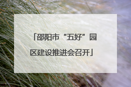 邵阳市“五好”园区建设推进会召开