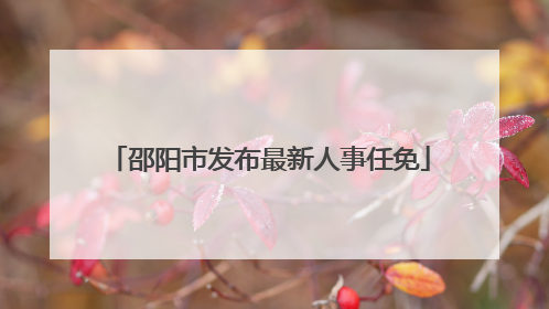 邵阳市发布最新人事任免