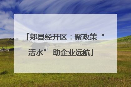 郏县经开区：聚政策“活水” 助企业远航