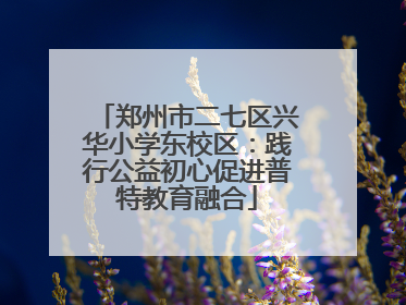 郑州市二七区兴华小学东校区：践行公益初心促进普特教育融合