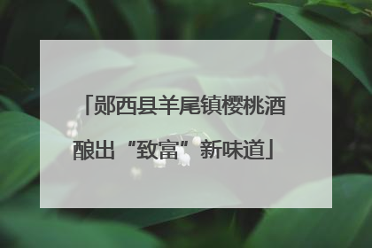 郧西县羊尾镇樱桃酒酿出“致富”新味道