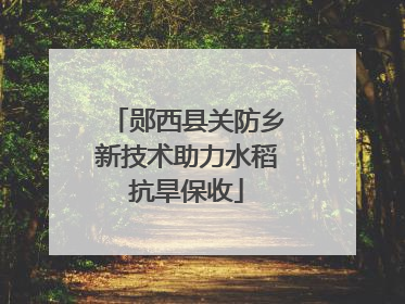 郧西县关防乡新技术助力水稻抗旱保收