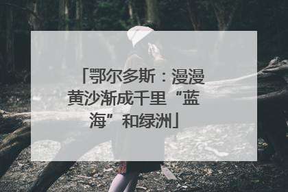 鄂尔多斯：漫漫黄沙渐成千里“蓝海”和绿洲
