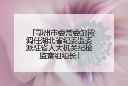 鄂州市委常委邹霞调任湖北省纪委监委派驻省人大机关纪检监察组组长
