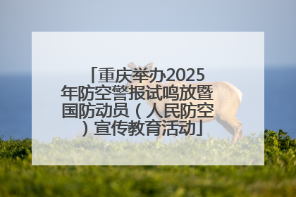 重庆举办2025年防空警报试鸣放暨国防动员（人民防空）宣传教育活动