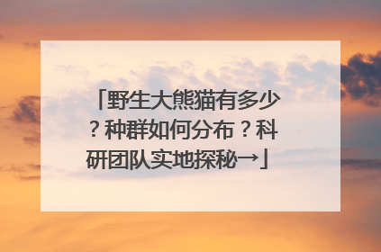 野生大熊猫有多少？种群如何分布？科研团队实地探秘→