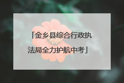 金乡县综合行政执法局全力护航中考