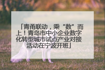 青甬联动，乘“数”而上！青岛市中小企业数字化转型城市试点产业对接活动在宁波开班