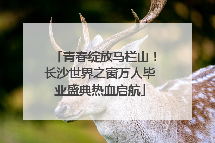 青春绽放马栏山！长沙世界之窗万人毕业盛典热血启航