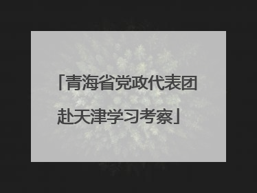 青海省党政代表团赴天津学习考察