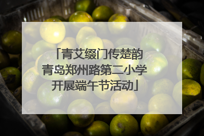 青艾缀门传楚韵 青岛郑州路第二小学开展端午节活动