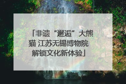 非遗“邂逅”大熊猫 江苏无锡博物院解锁文化新体验