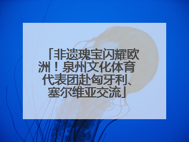 非遗瑰宝闪耀欧洲！泉州文化体育代表团赴匈牙利、塞尔维亚交流