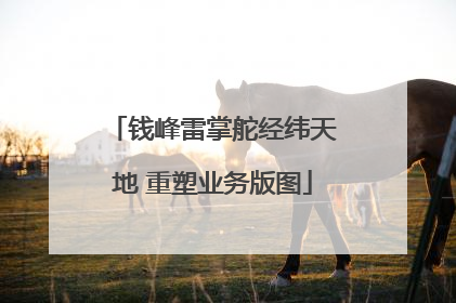 钱峰雷掌舵经纬天地 重塑业务版图
