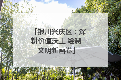 银川兴庆区：深耕价值沃土 绘制文明新画卷