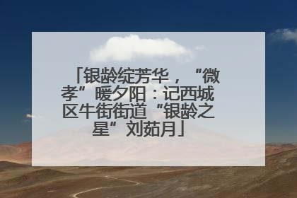 银龄绽芳华，“微孝”暖夕阳：记西城区牛街街道“银龄之星”刘茹月