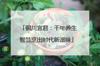 铜川宜君：千年养生智慧烹出时代新滋味