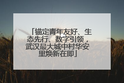 锚定青年友好、生态先行、数字引领，武汉最大城中村华安里焕新在即