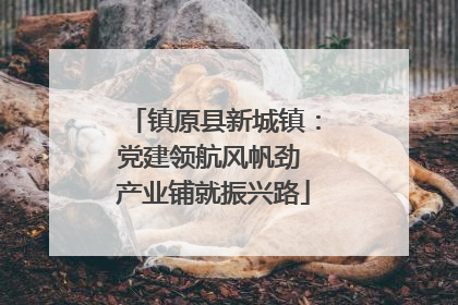 镇原县新城镇：党建领航风帆劲 产业铺就振兴路