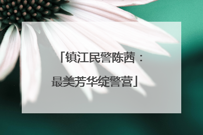 镇江民警陈茜：最美芳华绽警营
