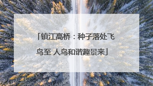 镇江高桥：种子落处飞鸟至 人鸟和谐趣景来