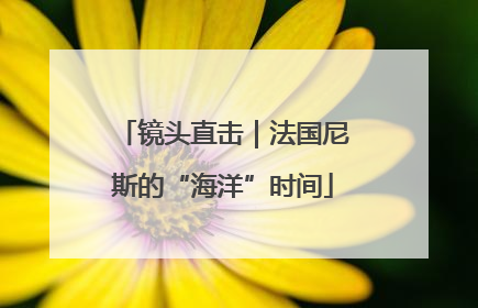 镜头直击｜法国尼斯的“海洋”时间