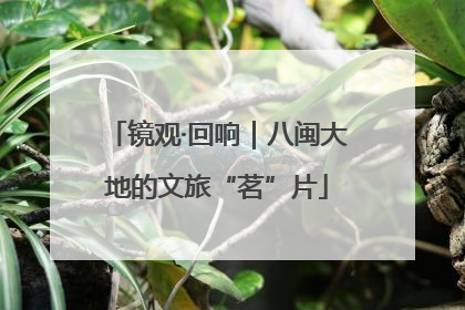 镜观·回响｜八闽大地的文旅“茗”片
