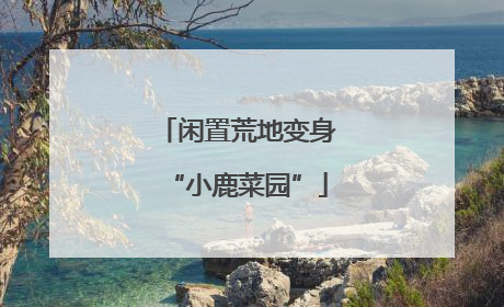 闲置荒地变身“小鹿菜园”