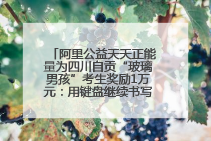 阿里公益天天正能量为四川自贡“玻璃男孩”考生奖励1万元：用键盘继续书写不设限的人生