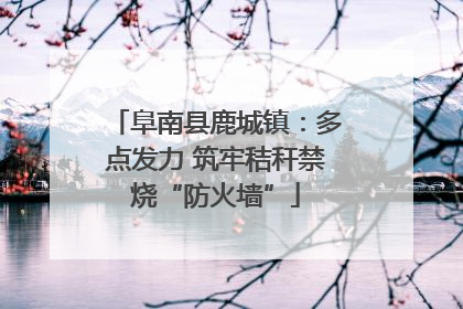 阜南县鹿城镇：多点发力 筑牢秸秆禁烧“防火墙”