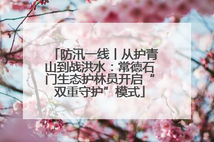 防汛一线丨从护青山到战洪水：常德石门生态护林员开启“双重守护”模式