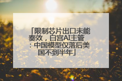 限制芯片出口未能奏效，白宫AI主管：中国模型仅落后美国不到半年