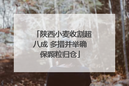 陕西小麦收割超八成 多措并举确保颗粒归仓