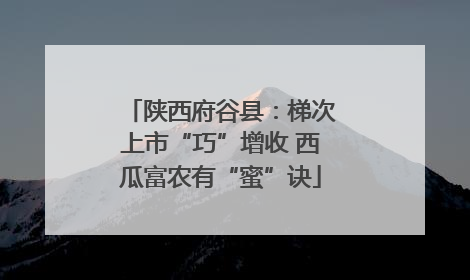 陕西府谷县：梯次上市“巧”增收 西瓜富农有“蜜”诀