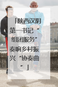 陕西汉阴第一书记“组团服务”奏响乡村振兴“协奏曲”