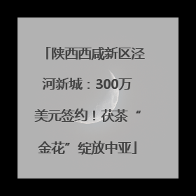 陕西西咸新区泾河新城：300万美元签约！茯茶“金花”绽放中亚