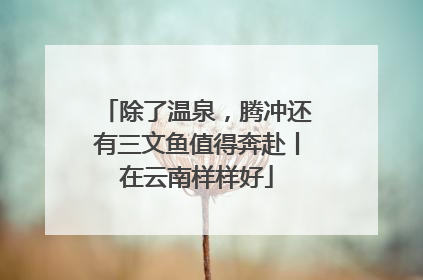 除了温泉，腾冲还有三文鱼值得奔赴丨在云南样样好