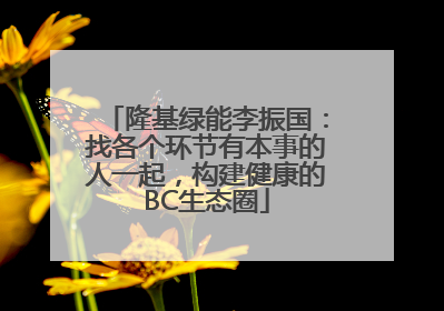 隆基绿能李振国：找各个环节有本事的人一起，构建健康的BC生态圈