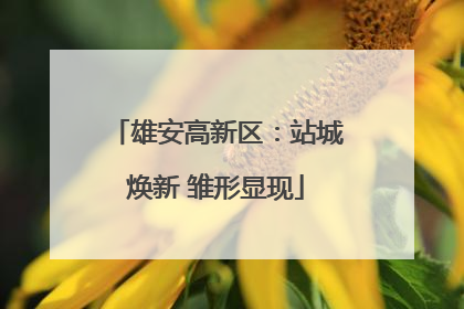 雄安高新区：站城焕新 雏形显现